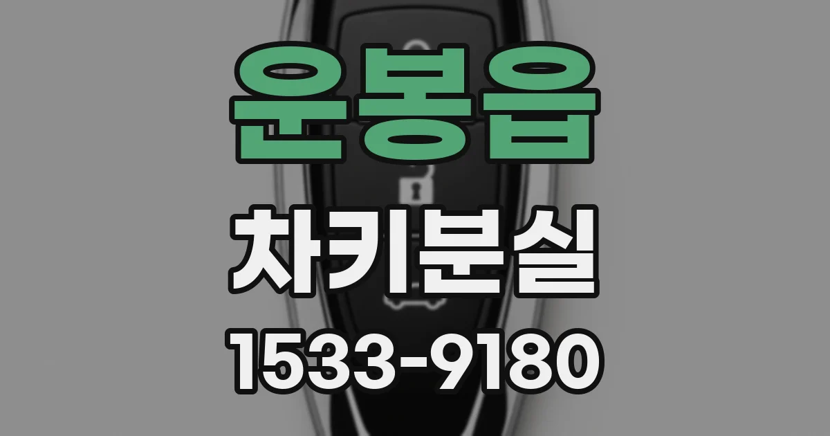운봉읍 차키분실