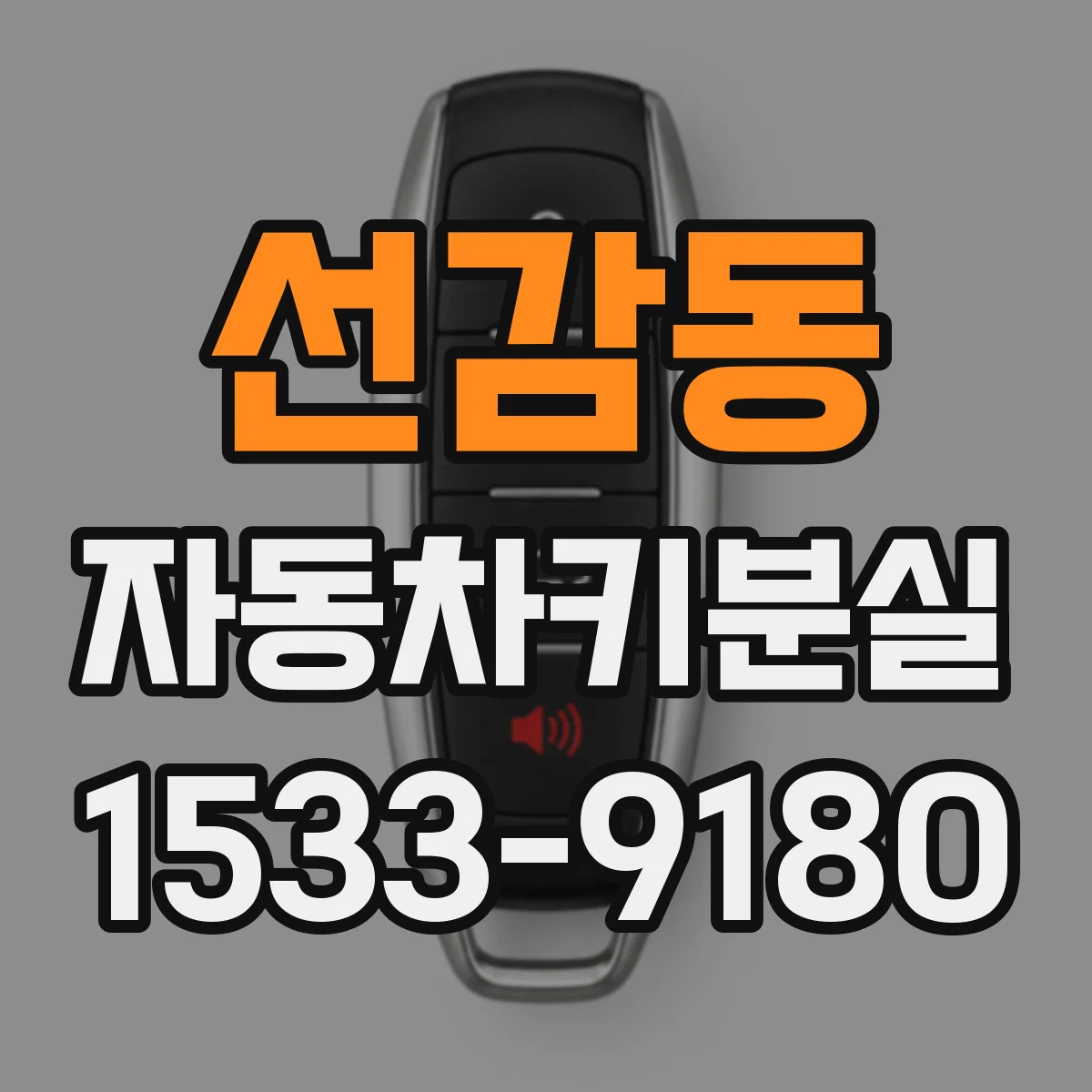 선감동 자동차키분실