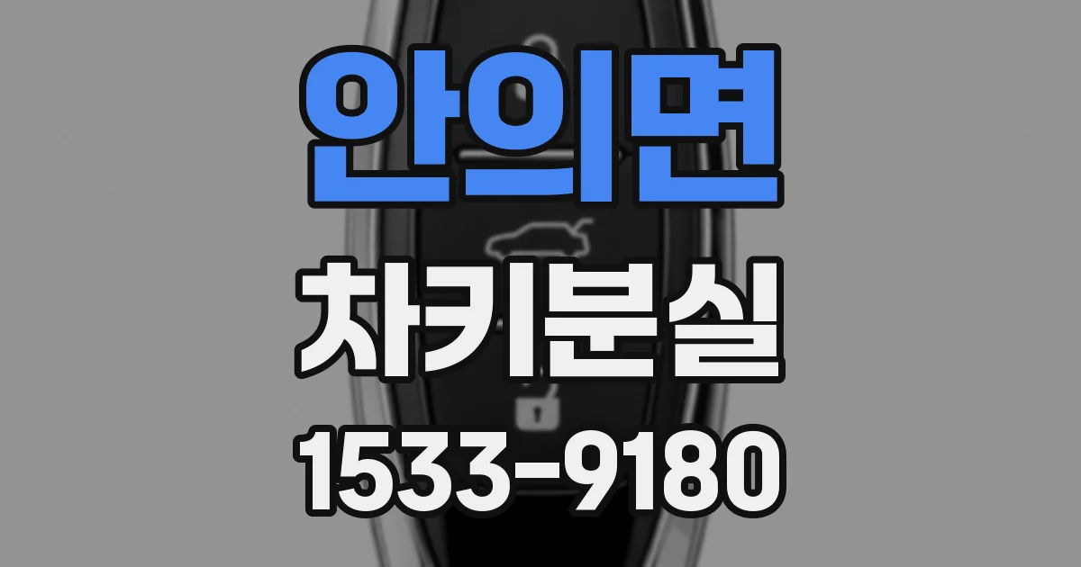 안의면 차키분실