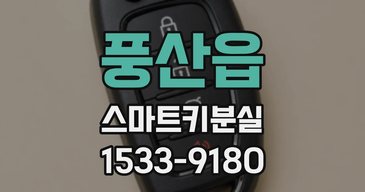 풍산읍 스마트키분실
