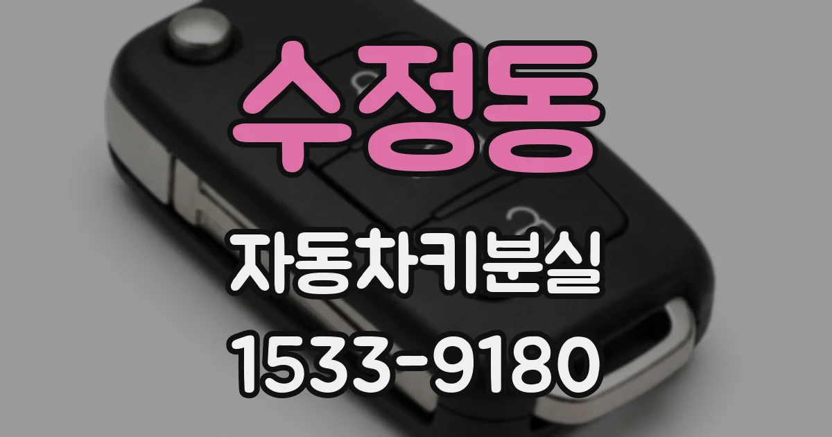 수정동 자동차키분실