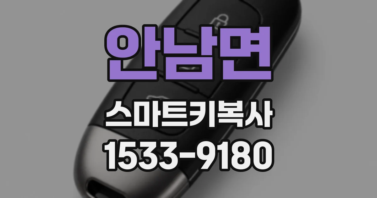 안남면 스마트키복사