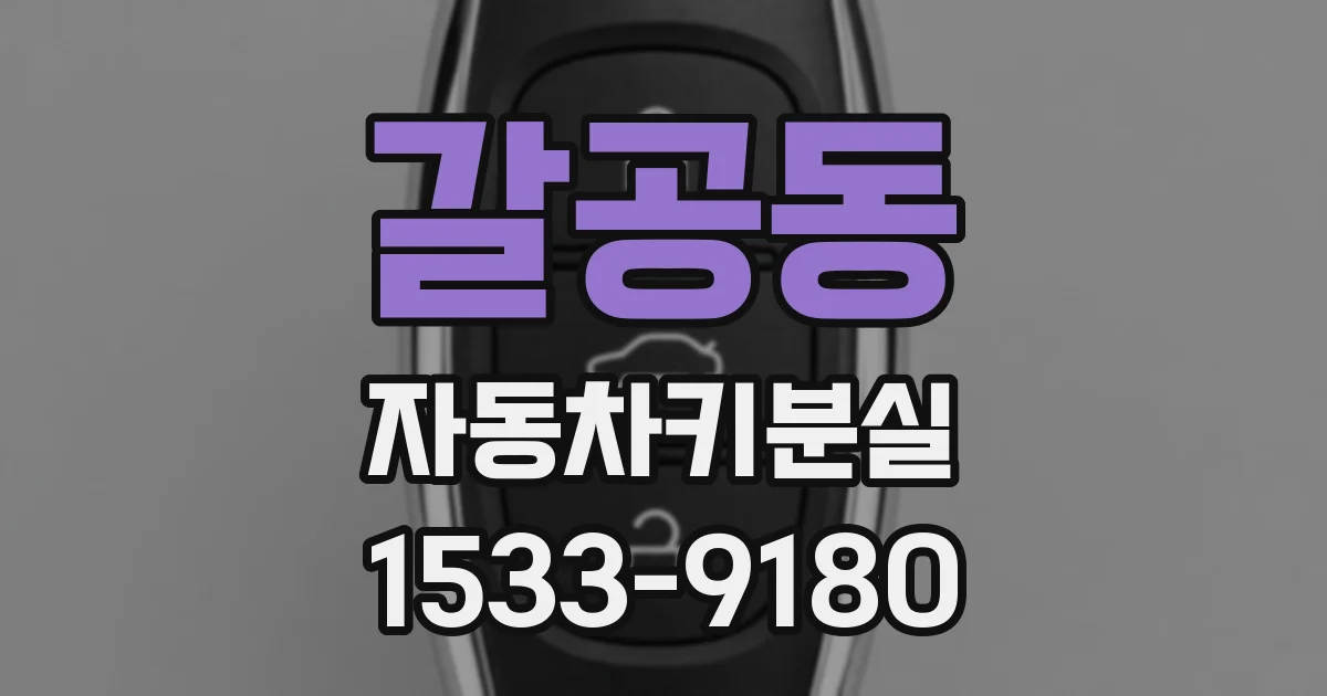 갈공동 자동차키분실