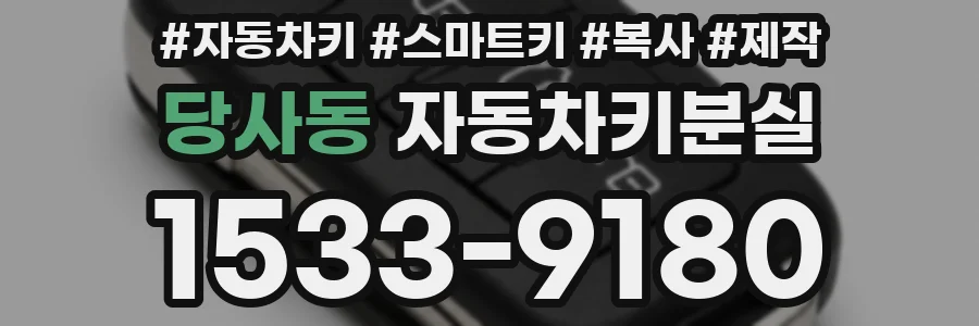 당사동 자동차키분실
