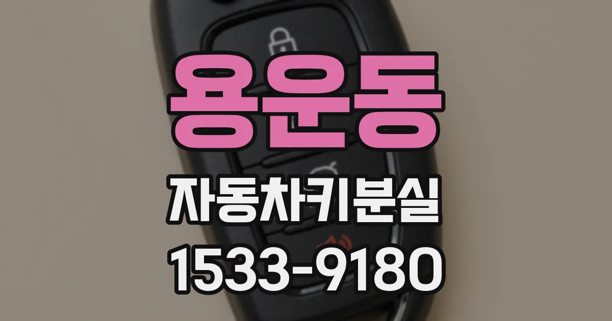 용운동 자동차키분실