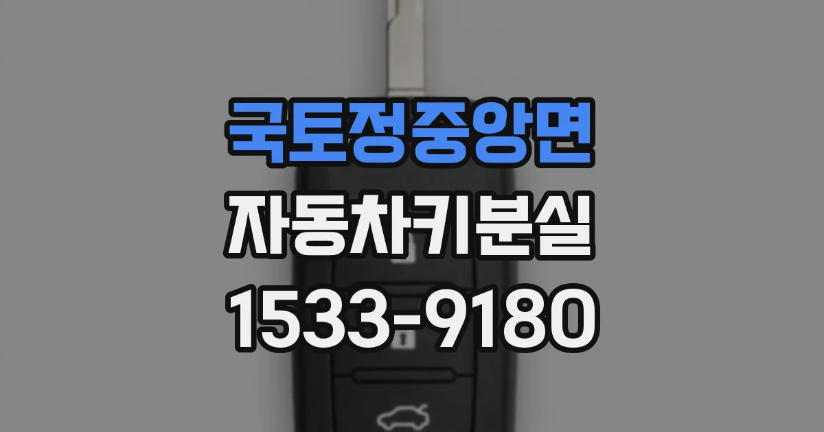 국토정중앙면 자동차키분실