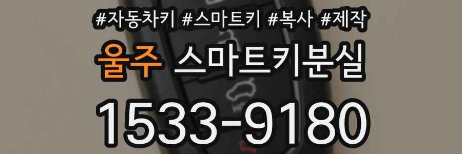 울주 스마트키분실