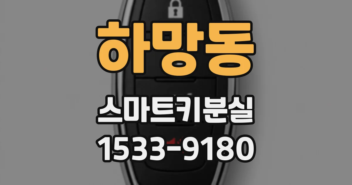 하망동 스마트키분실