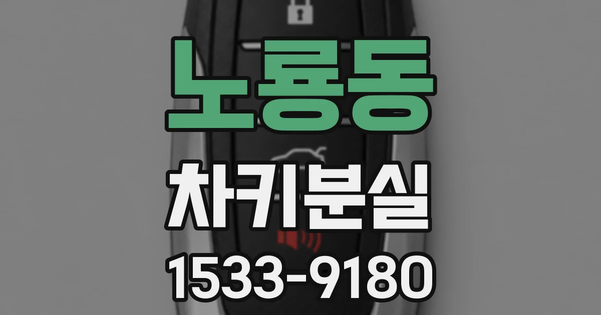 노룡동 차키분실