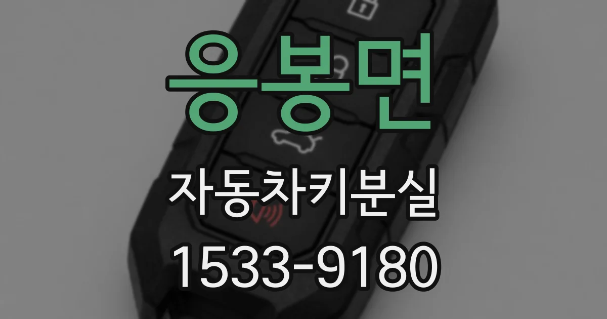 응봉면 자동차키분실