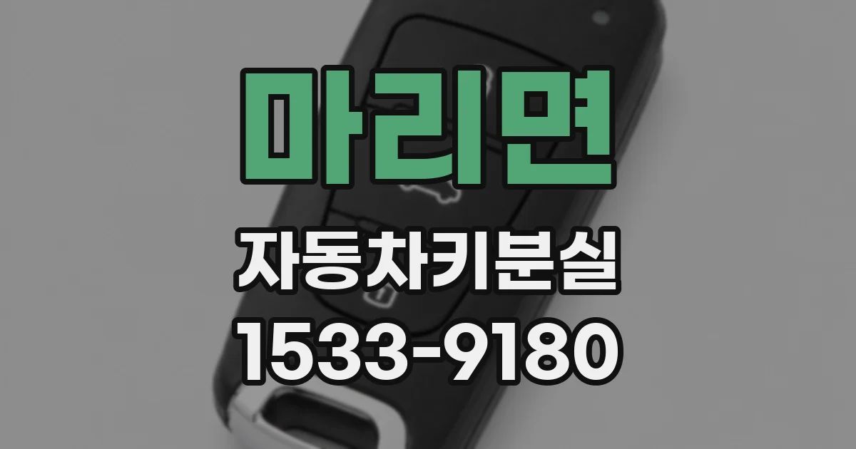 마리면 자동차키분실