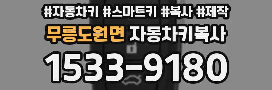 무릉도원면 자동차키복사