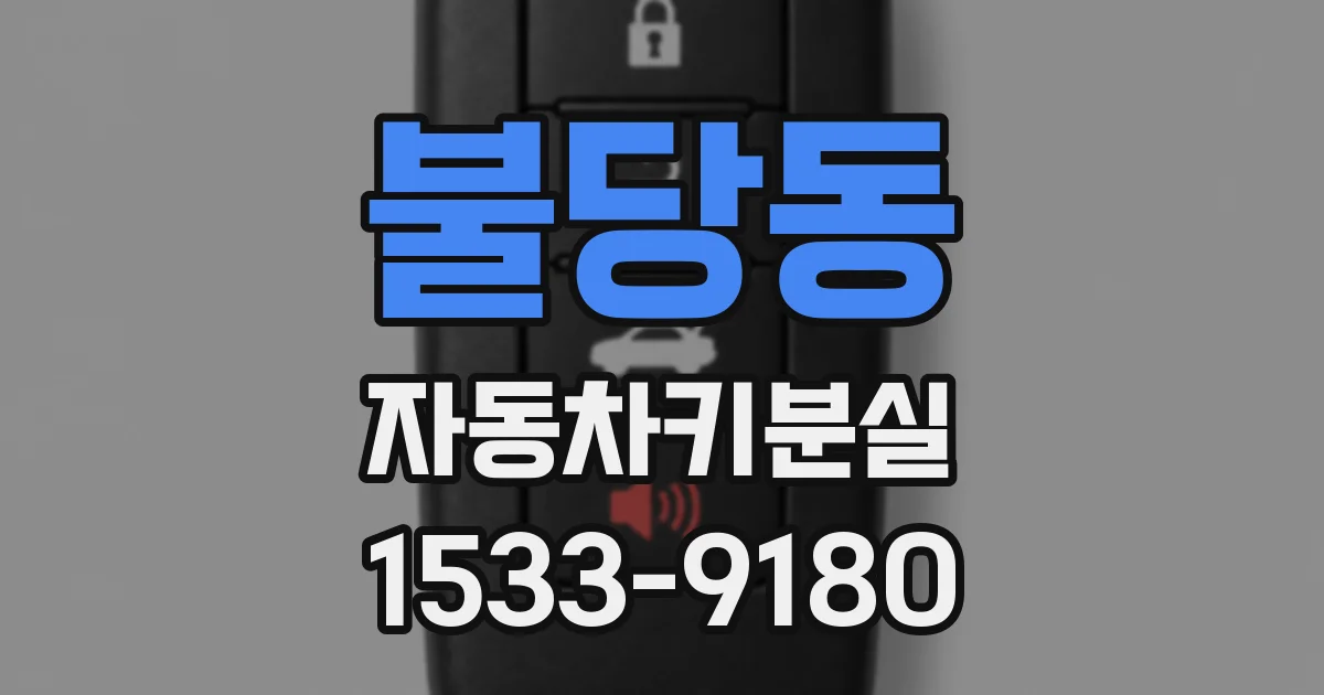 불당동 자동차키분실