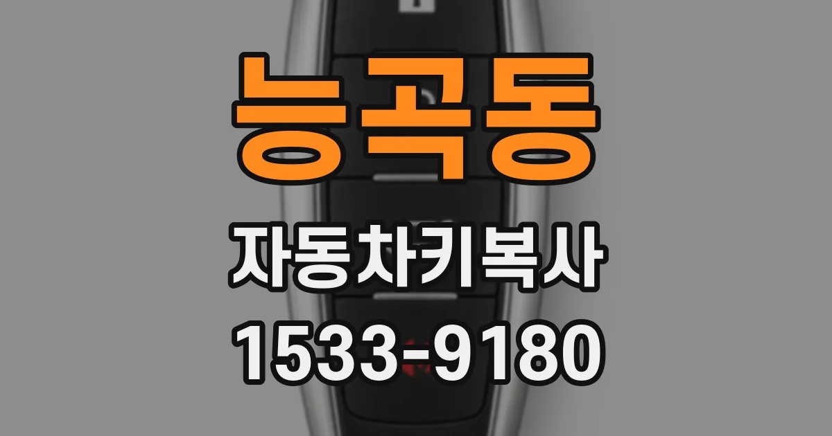 능곡동 자동차키복사
