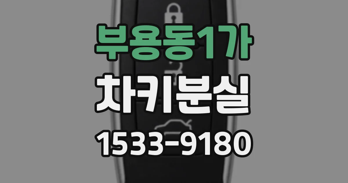 부용동1가 차키분실
