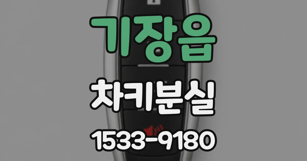 기장읍 차키분실