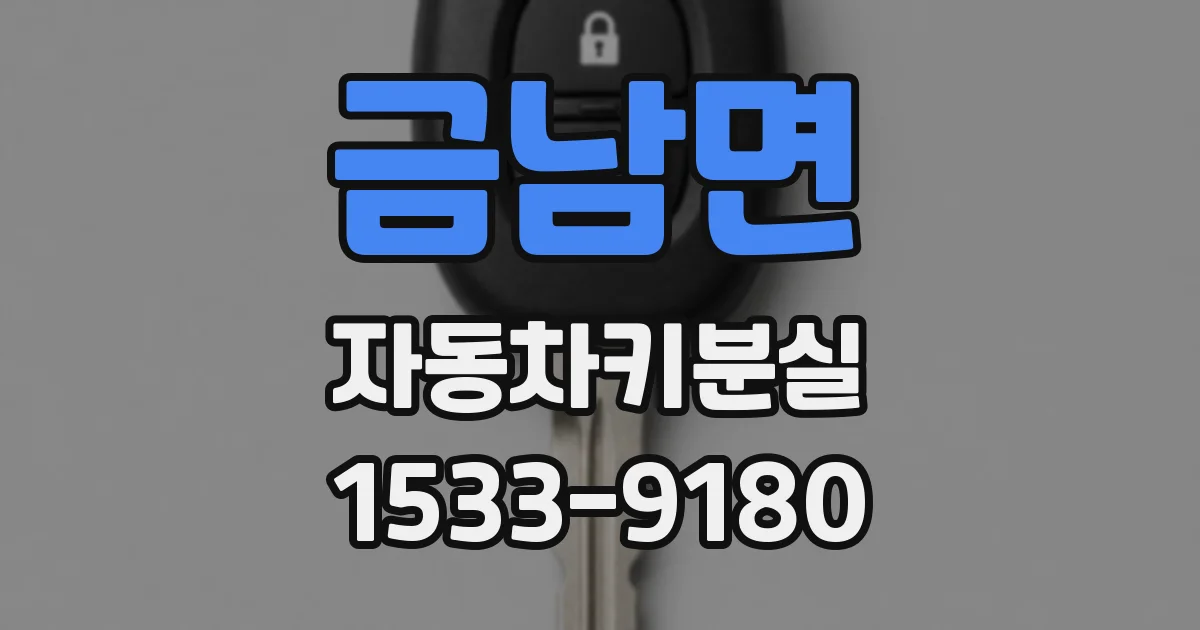 금남면 자동차키분실