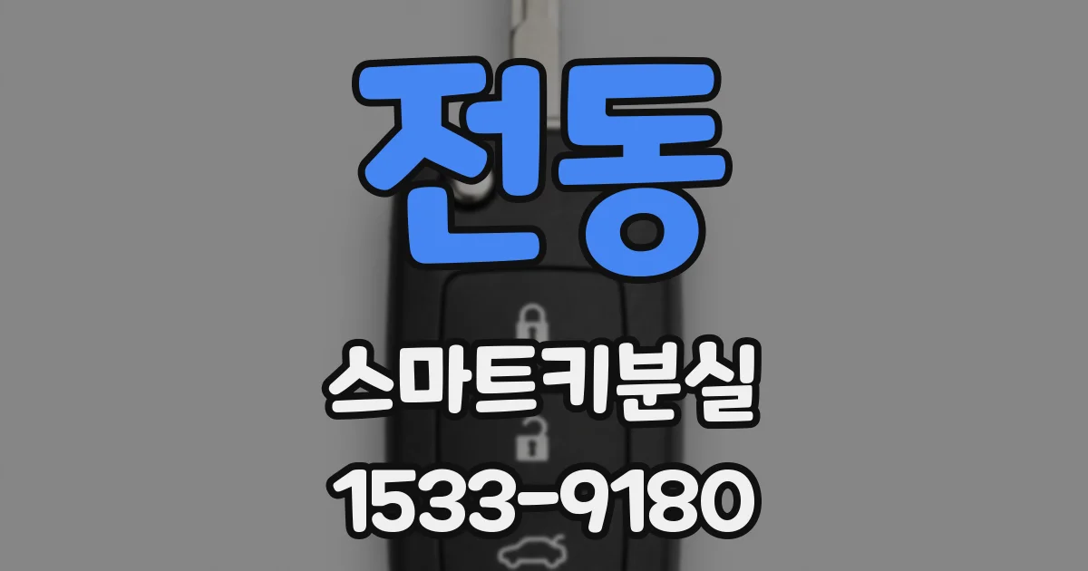 전동 스마트키분실