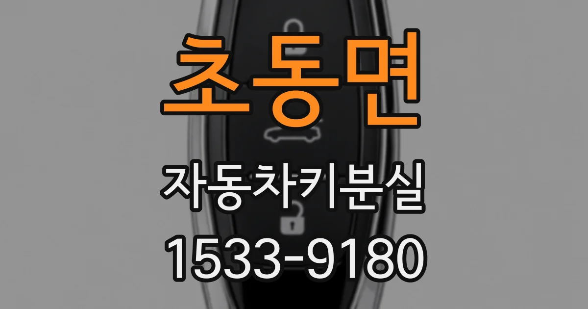 초동면 자동차키분실
