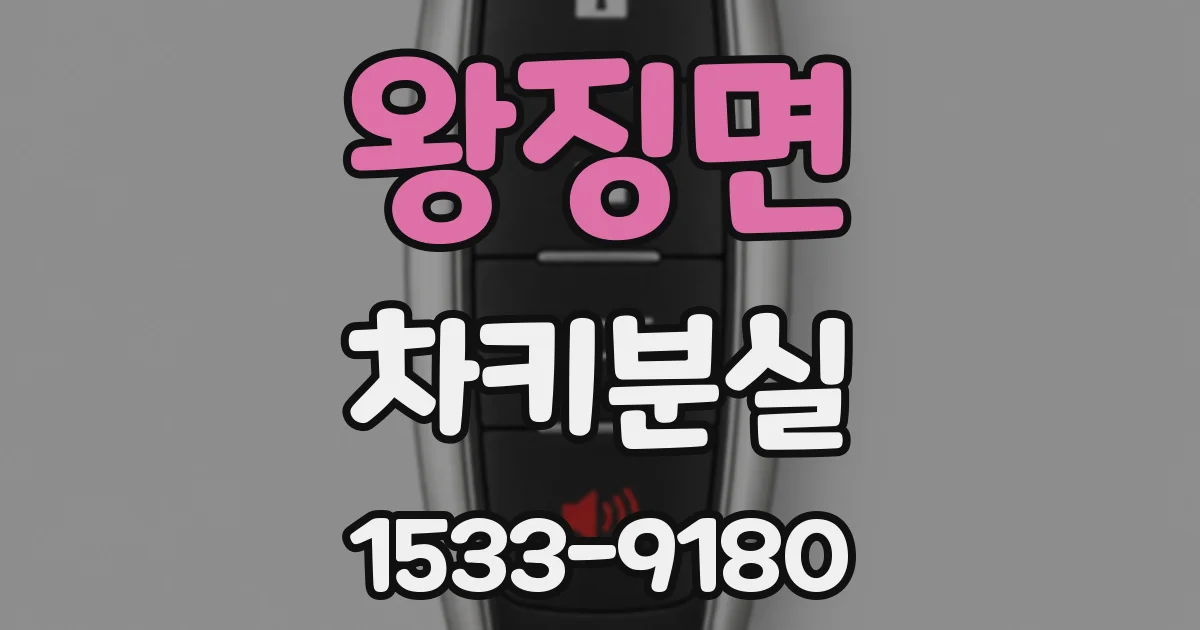 왕징면 차키분실