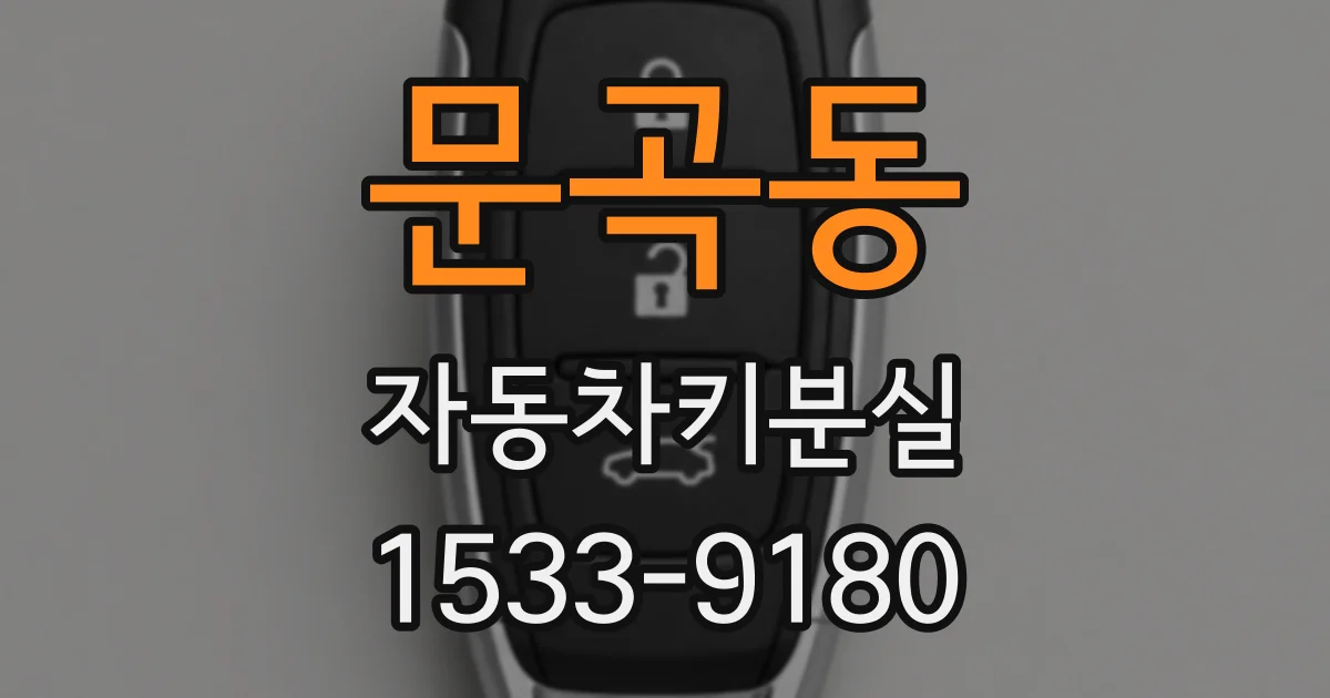 문곡동 자동차키분실