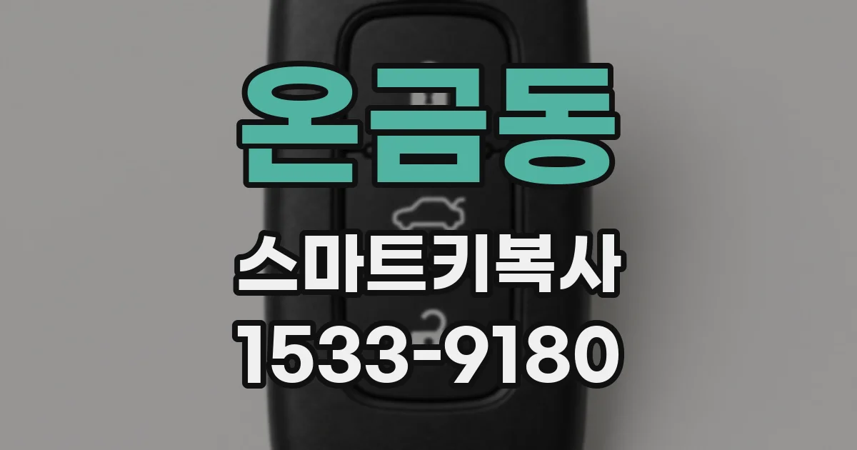 온금동 스마트키복사
