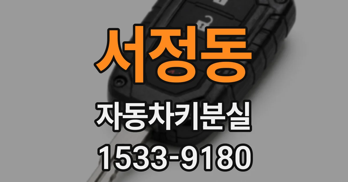 서정동 자동차키분실