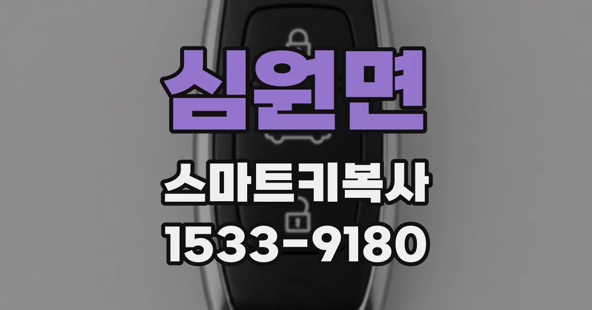 심원면 스마트키복사