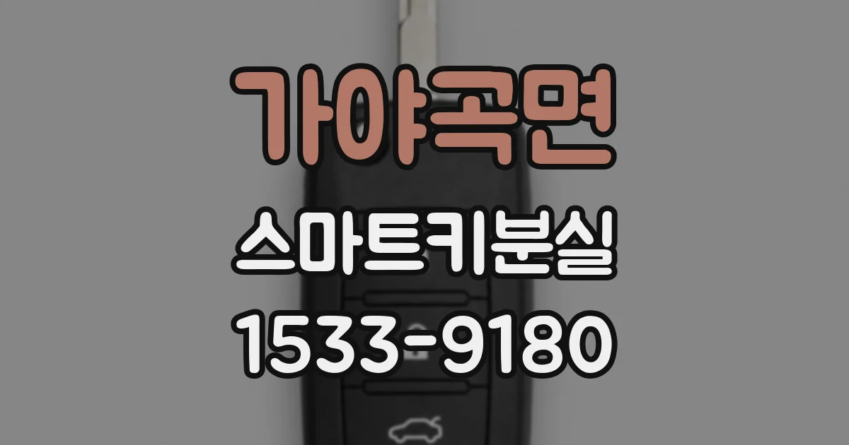 가야곡면 스마트키분실