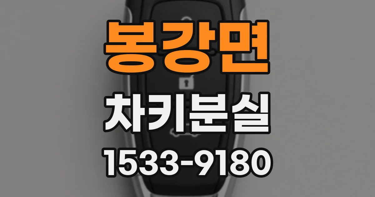 봉강면 차키분실