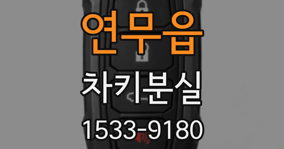 연무읍 차키분실