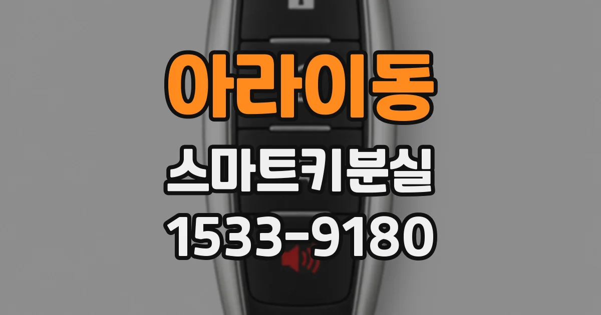 아라이동 스마트키분실