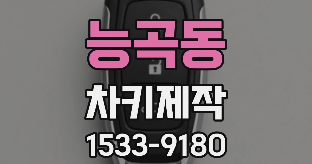 능곡동 차키제작
