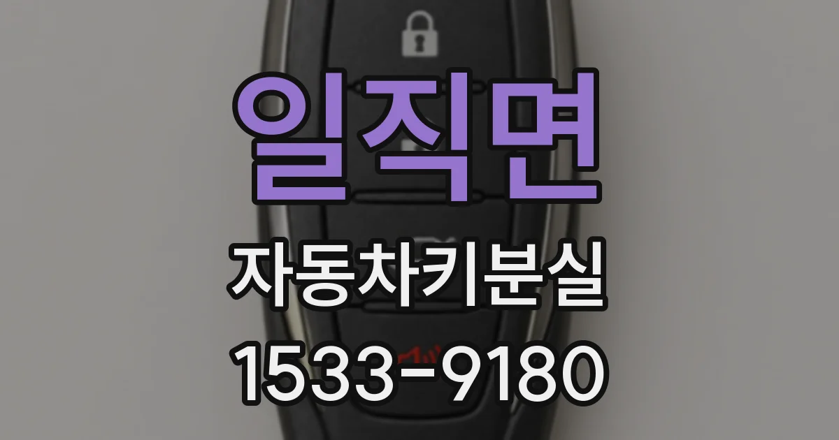 일직면 자동차키분실
