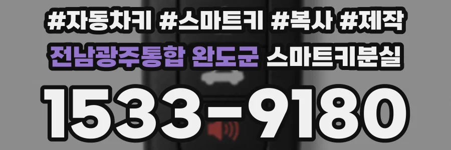 전남광주통합 완도군 스마트키분실
