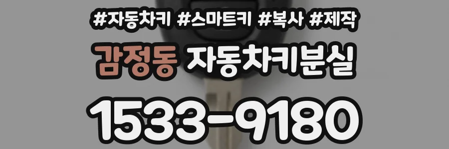 감정동 자동차키분실