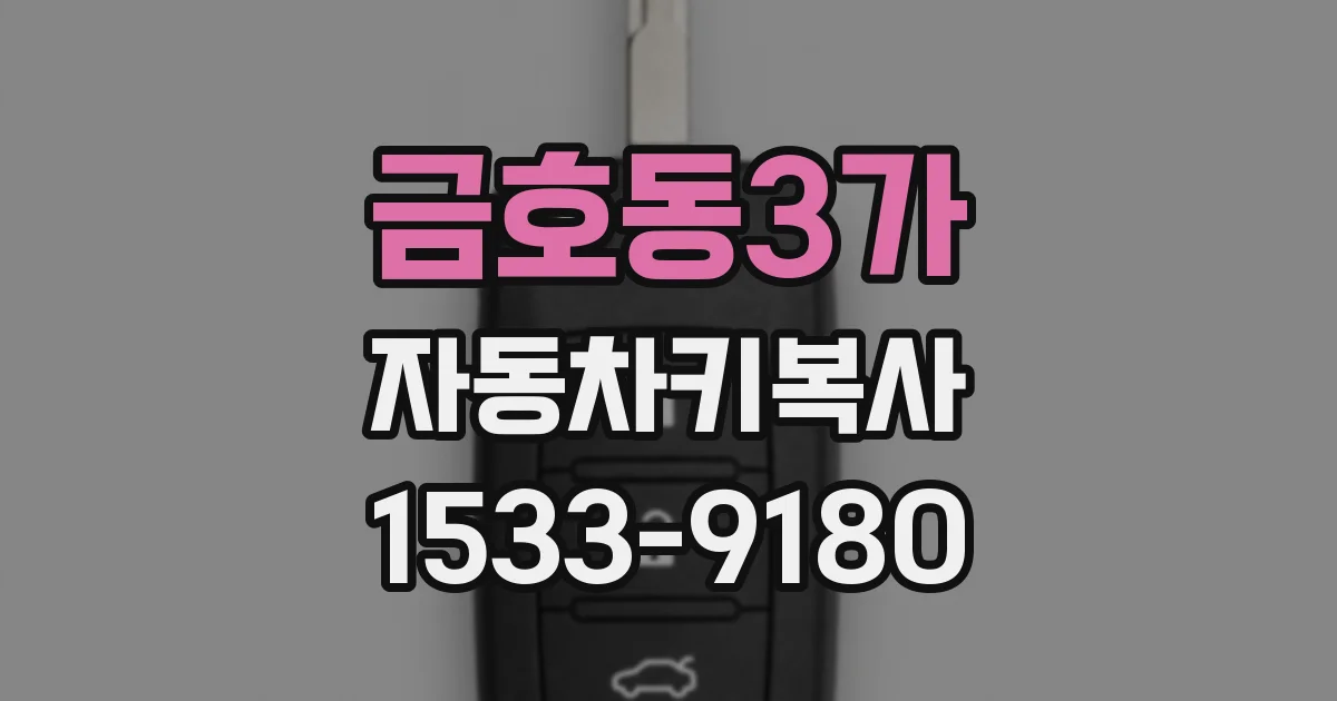 금호동3가 자동차키복사