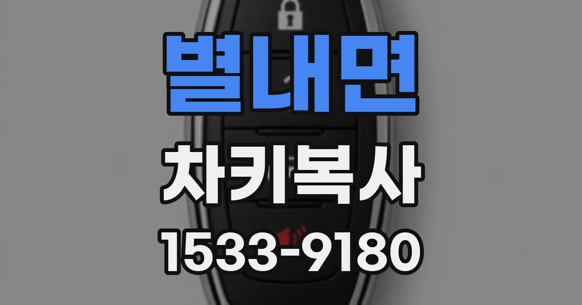 별내면 차키복사