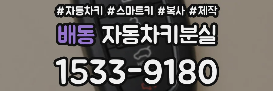 배동 자동차키분실