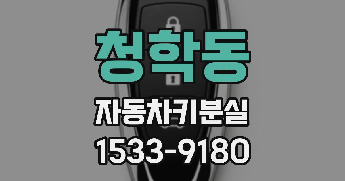 청학동 자동차키분실