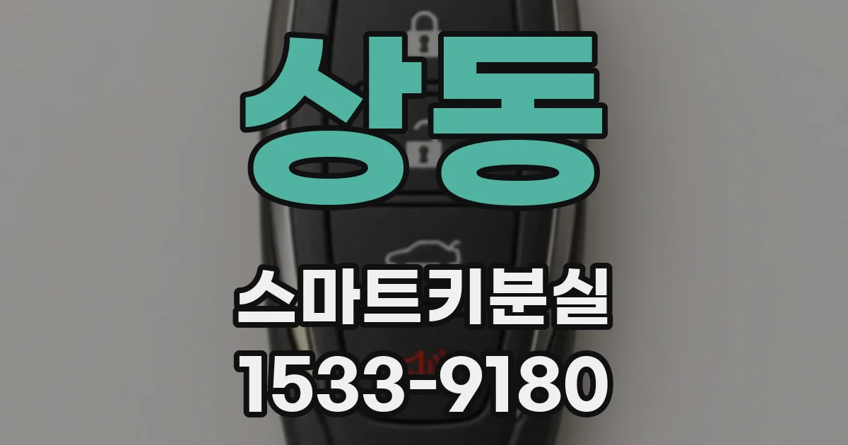 상동 스마트키분실