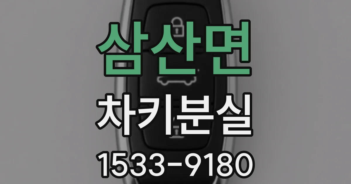 삼산면 차키분실