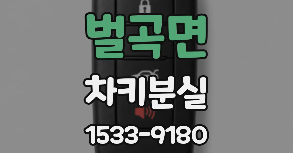 벌곡면 차키분실
