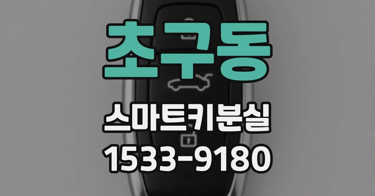 초구동 스마트키분실