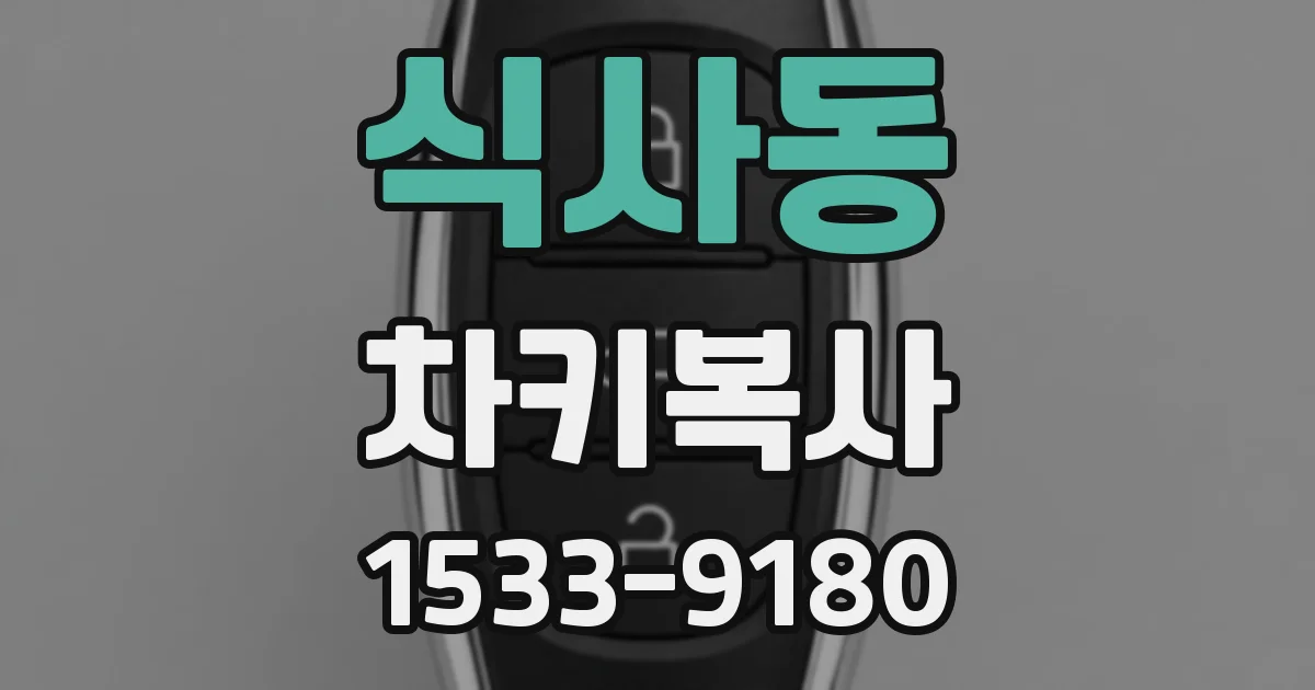 식사동 차키복사