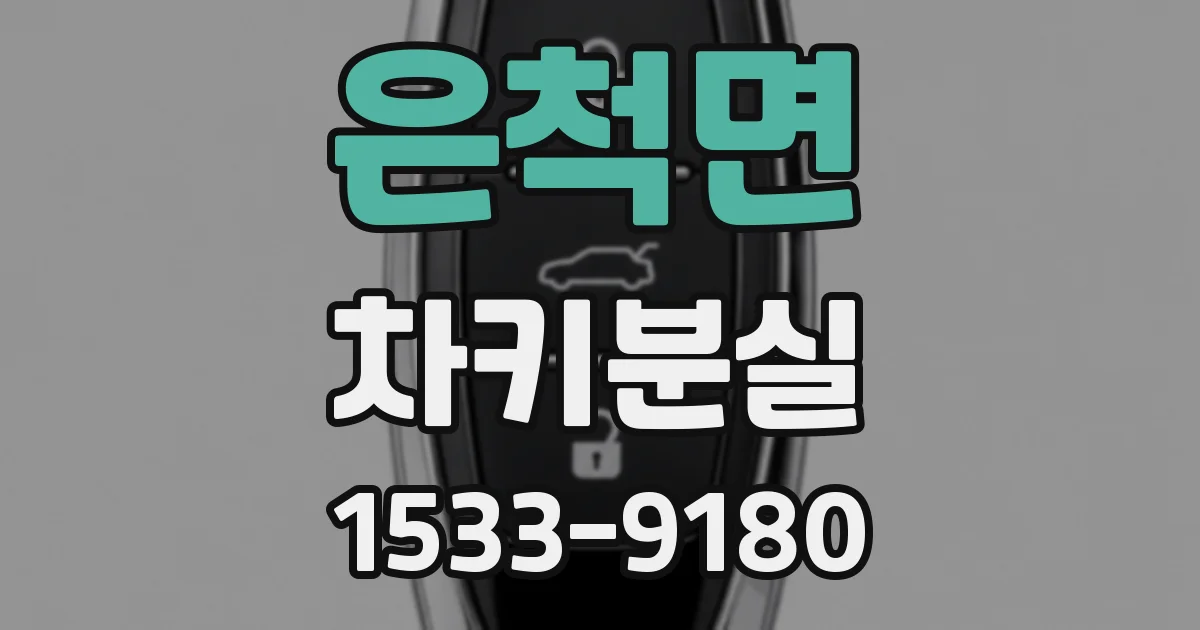 은척면 차키분실