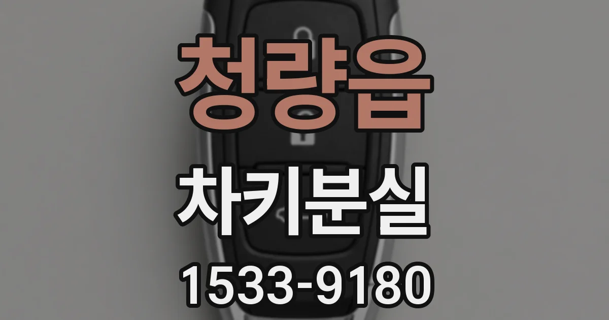 청량읍 차키분실
