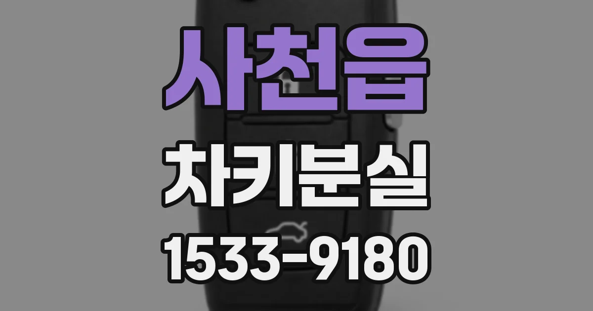 사천읍 차키분실