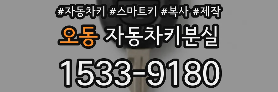 오동 자동차키분실