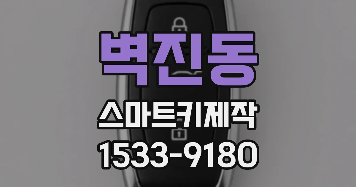 벽진동 스마트키제작